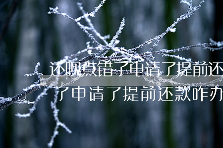 还呗点错了申请了提前还款咋办-还呗点错了申请了提前还款咋办啊