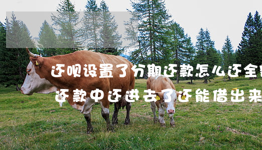 还呗设置了分期还款怎么还全额-还呗分期还款中还进去了还能借出来吗