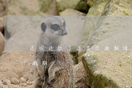 还呗还款了还显示逾期(借呗还款了还是显示逾期)