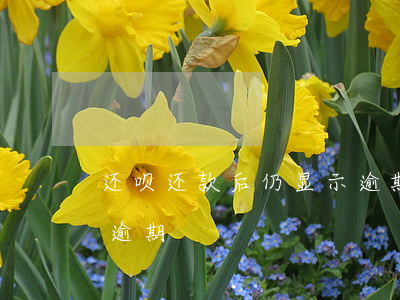 还呗还款后仍显示逾期(借呗还了之后还显示逾期)
