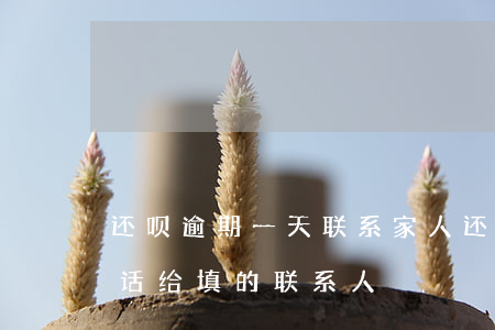 还呗逾期一天联系家人(还呗逾期几天会打电话给填的联系人?)