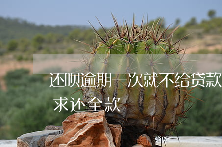 还呗逾期一次就不给贷款(借呗逾期一个月要求还全款)