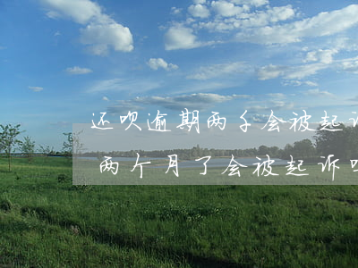 还呗逾期两千会被起诉吗 花呗欠了两千逾期两个月了 会被起诉吗