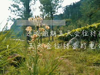 还呗逾期五天会往村委打电话吗-还呗逾期五天会往村委打电话吗是真的吗