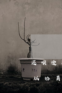 还呗逾期后可以协商分期还款吗(借呗逾期可以协商还本金或者分期还吗)