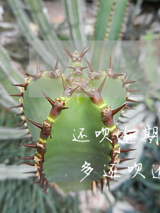 还呗逾期多少天会起诉,我已经还了2000多（还呗逾期了四天会被起诉吗）