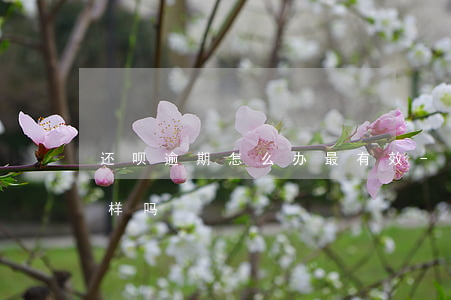 还呗逾期怎么办最有效-还呗逾期了会怎么样吗