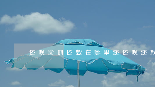 还呗逾期还款在哪里还(还呗还款客服电话)