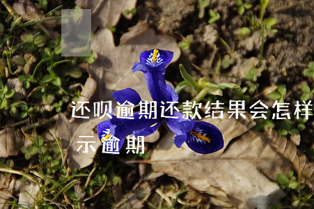 还呗逾期还款结果会怎样(借呗还了之后还显示逾期)