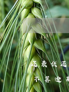 还最低还款额算逾期吗6(还了最低还款额算不算逾期)