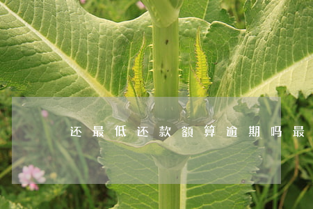 还最低还款额算逾期吗(最低还款算不算逾期)