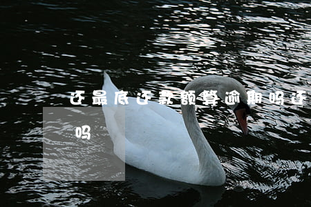 还最底还款额算逾期吗(还最底还款额算逾期吗)
