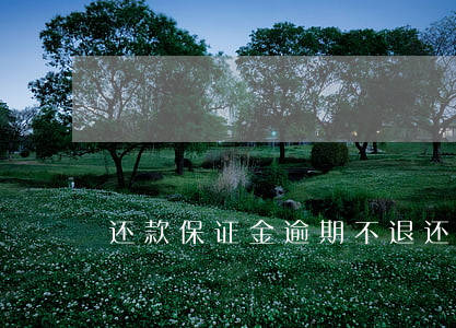 还款保证金逾期不退(还款保证金不退怎么办)