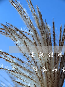 还款信用良好但突然网贷全用不了-还款信用良好但突然网贷全用不了了