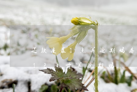 还款凌晨1点算逾期吗(房贷还款日当天晚上12点前算逾期吗)