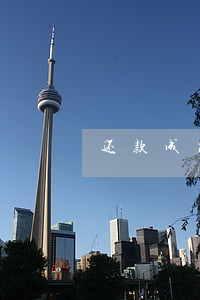 还款成功后显示逾期(还款后仍显示逾期)