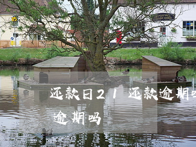 还款日21还款逾期吗(还款日12点之前算逾期吗)