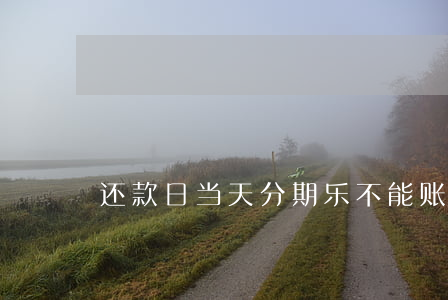 还款日当天分期乐不能账单分期-