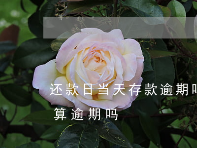 还款日当天存款逾期吗(还款到期日当天还款算逾期吗)