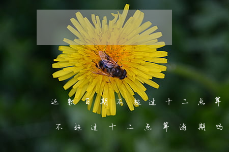 还款日期不超过十二点算逾期吗-还款日期不超过十二点算逾期吗怎么办