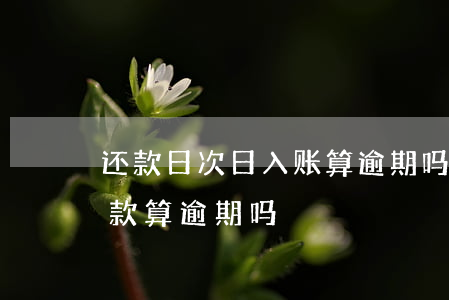 还款日次日入账算逾期吗(到期还款日次日还款算逾期吗)