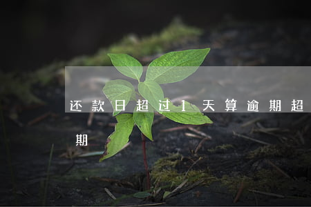 还款日超过1天算逾期(超过还款日几天算逾期)