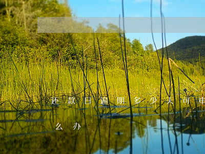 还款日逾期多少天可申诉(还款逾期10天怎么办)