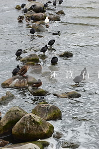 还款有逾期（i贷逾期还款）