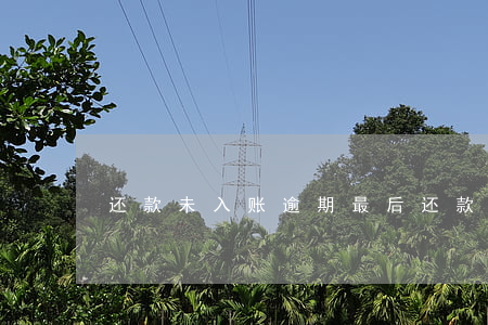 还款未入账逾期(最后还款日还款未入账)