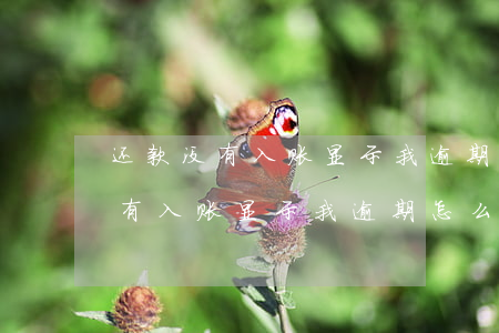 还款没有入账显示我逾期怎么举报-还款没有入账显示我逾期怎么举报他