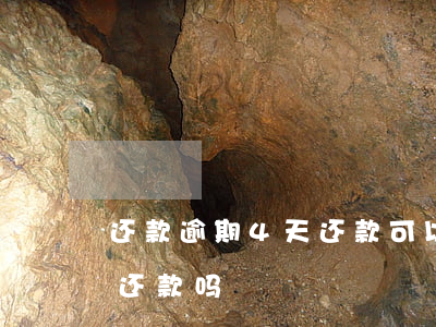 还款逾期4天还款可以吗(逾期4天能还最低还款吗)