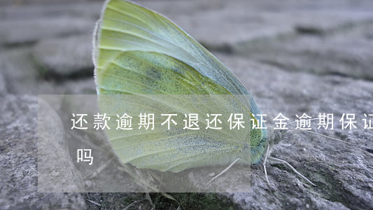 还款逾期不退还保证金(逾期保证金不退违法吗)