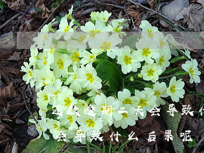 还款逾期二天会导致什么后果(还款逾期二天会导致什么后果呢)