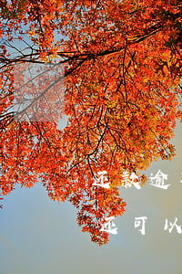 还款逾期几天再能续贷吗(贷款逾期还了以后还可以贷款吗)