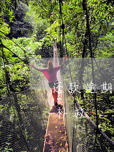 还款逾期后征信怎么处理(逾期上征信后如何补救)