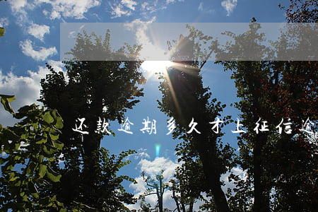 还款逾期多久才上征信(逾期多久上征信?)