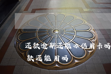 还款逾期还能办信用卡吗(信用卡逾期了 还了款 还能用吗)