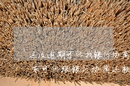 还没逾期可以找银行协商还款吗(没有逾期之前可以跟银行协商还款吗)