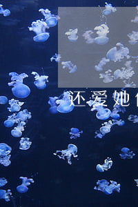 还爱她但想离婚
