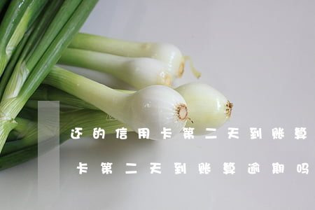 还的信用卡第二天到账算逾期吗-还的信用卡第二天到账算逾期吗怎么办
