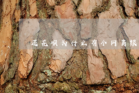 还花呗为什么有个网商银行还款-