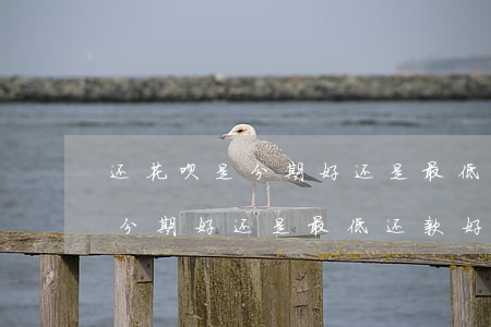 还花呗是分期好还是最低还款好-还花呗是分期好还是最低还款好呢
