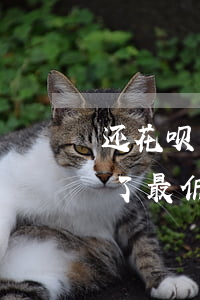 还花呗最低还款完剩下的有利息吗-花呗还了最低还款余款后面还清了算利息吗