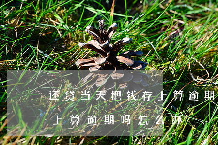 还贷当天把钱存上算逾期吗(还贷当天把钱存上算逾期吗怎么办)