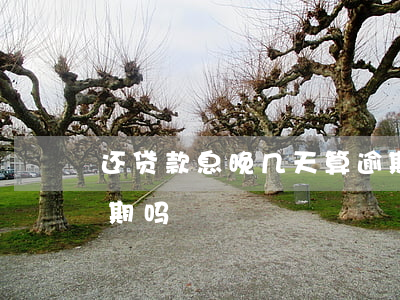 还贷款息晚几天算逾期(还房贷晚了一天算逾期吗)