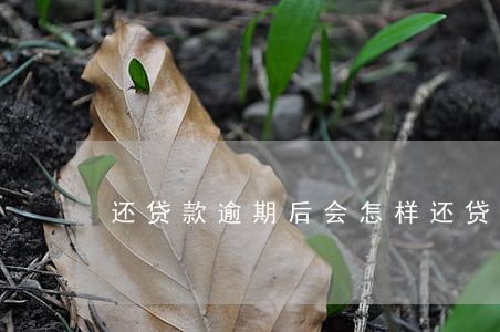 还贷款逾期后会怎样(还贷逾期会有什么后果)