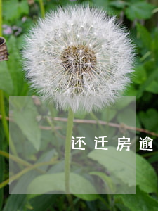 还迁房逾期未交(回迁房逾期交房)