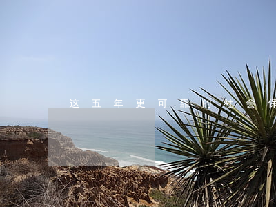 这五年，更可靠的社会保障守护你我幸福