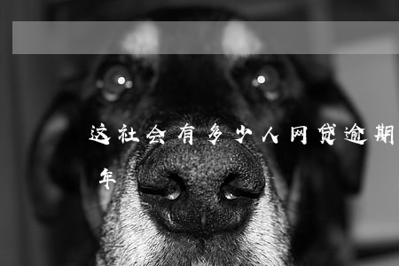 这社会有多少人网贷逾期(十来个网贷逾期半年)