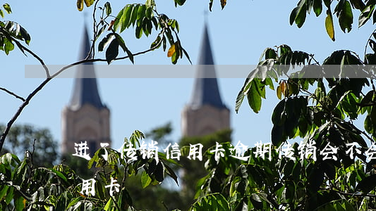 进了传销信用卡逾期(传销会不会让你去办信用卡)